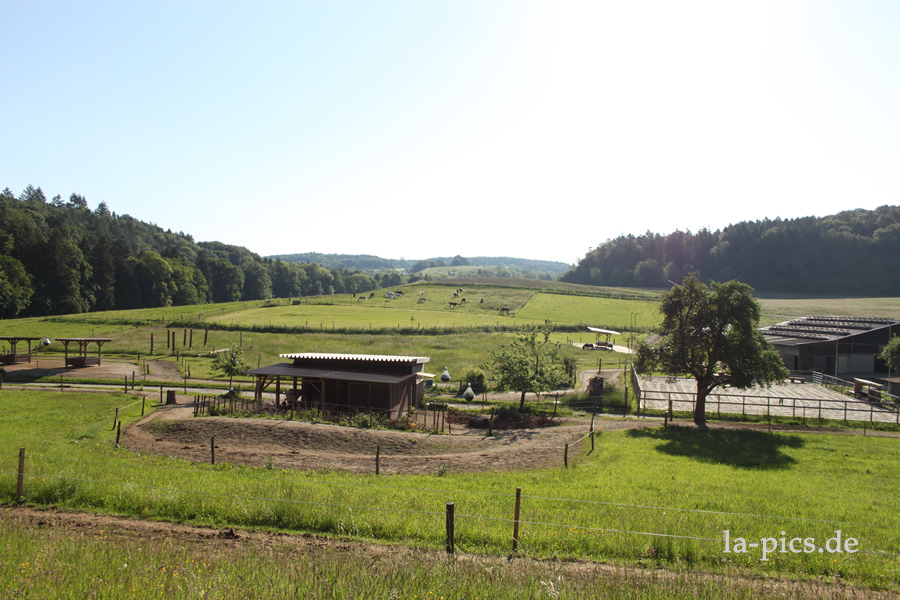 Blick auf die Paddock Trails auf dem Kreuzhof